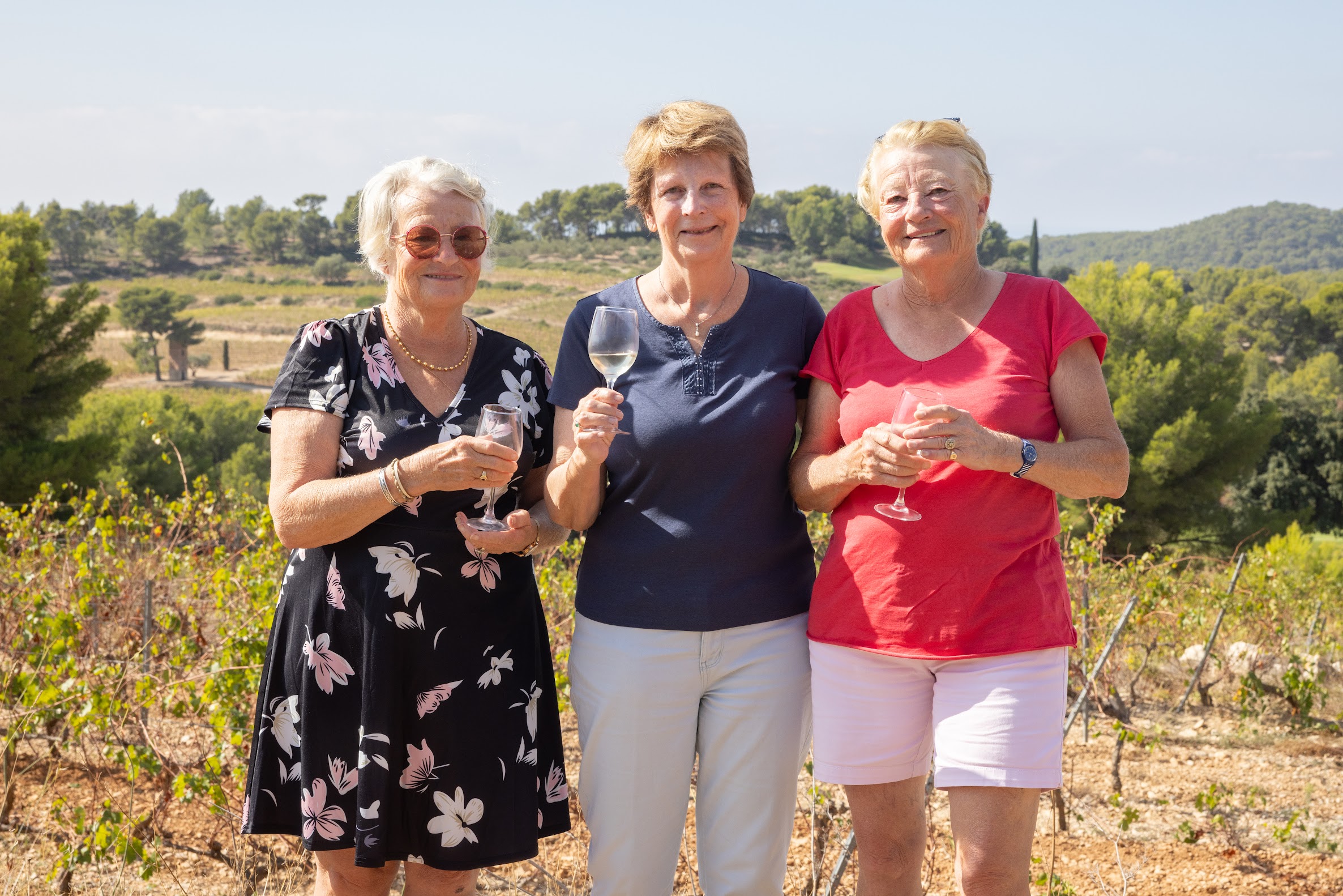 domaine de frégate, vente de vin en ligne à Bandol